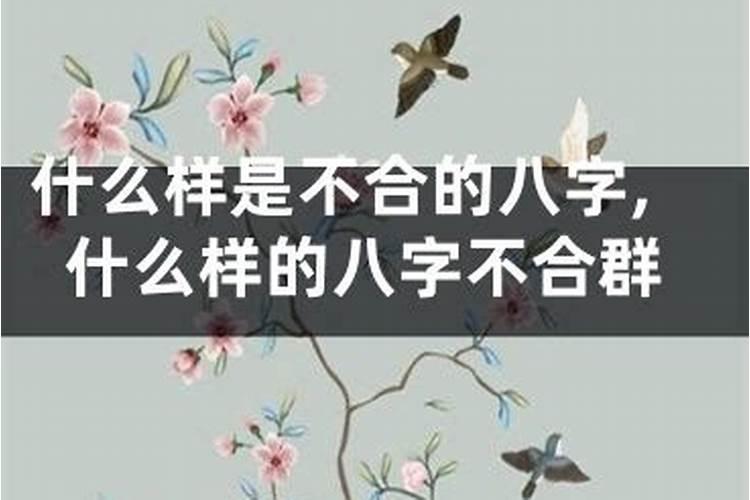 九六年今年运势如何