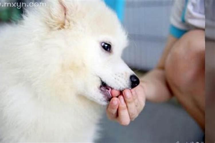 梦见河边特别漂亮的女人什么意思