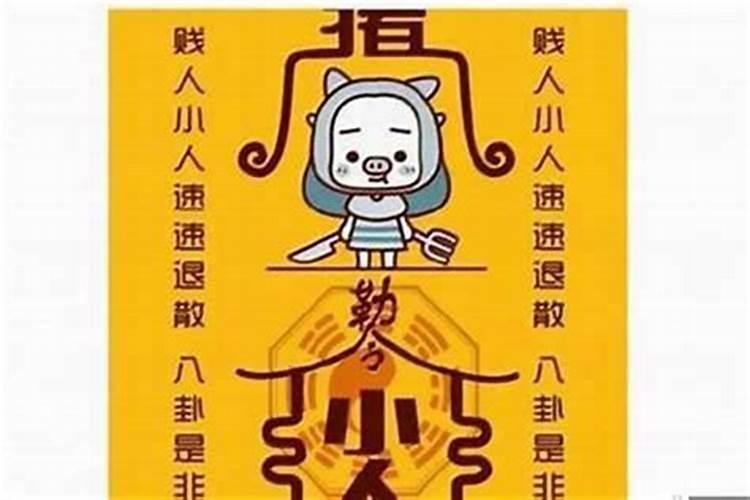 2024生肖猪今年运势