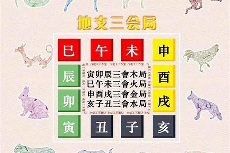 夜里梦到捡鸡蛋是咋回事