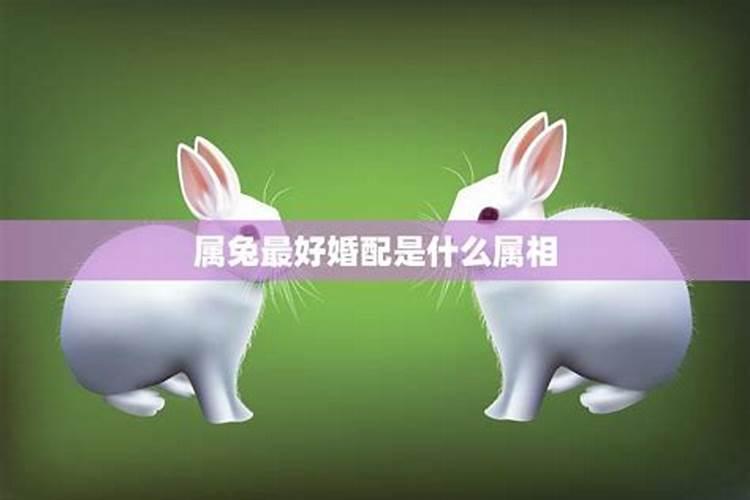 重阳节是农历的9月9日还是阳历的9月9日