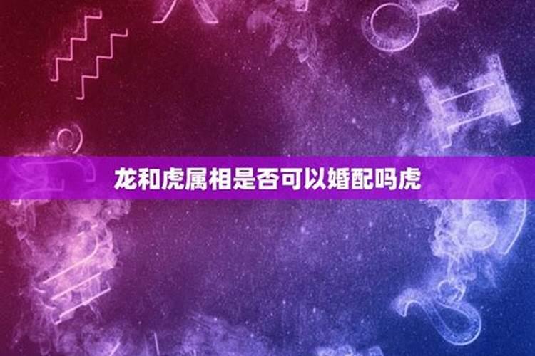 龙和虎的属相合适吗