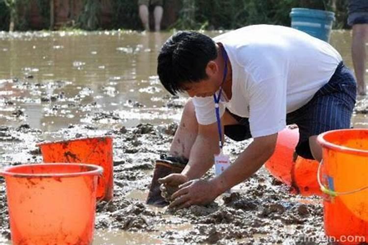 女人梦到抓泥鳅什么预兆