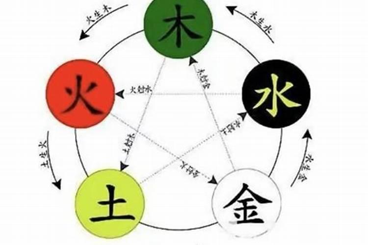 柳字五行属什么的吉凶