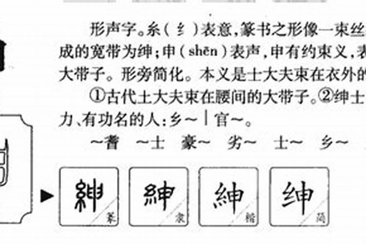 绅字五行属什么意思