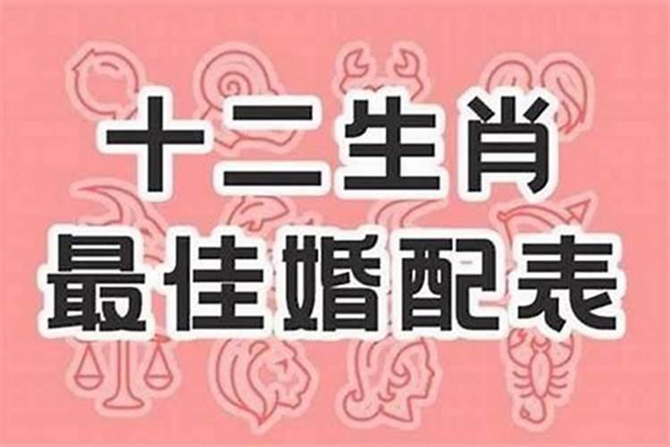 属牛和属虎的婚姻相配吗