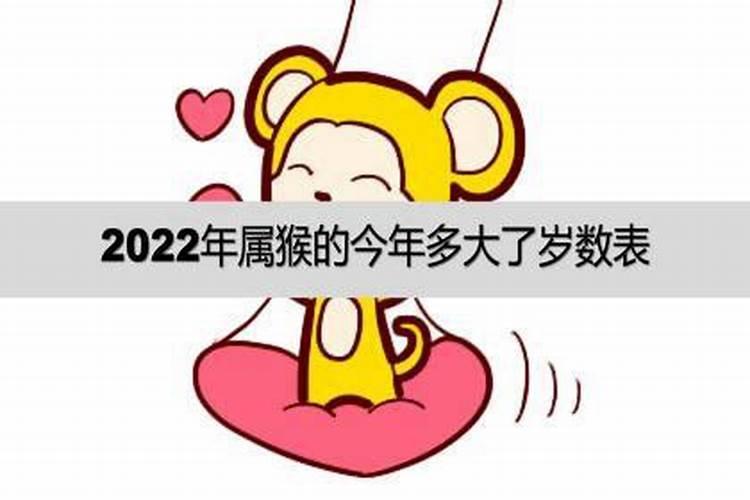 2022属猴的今年多大年龄