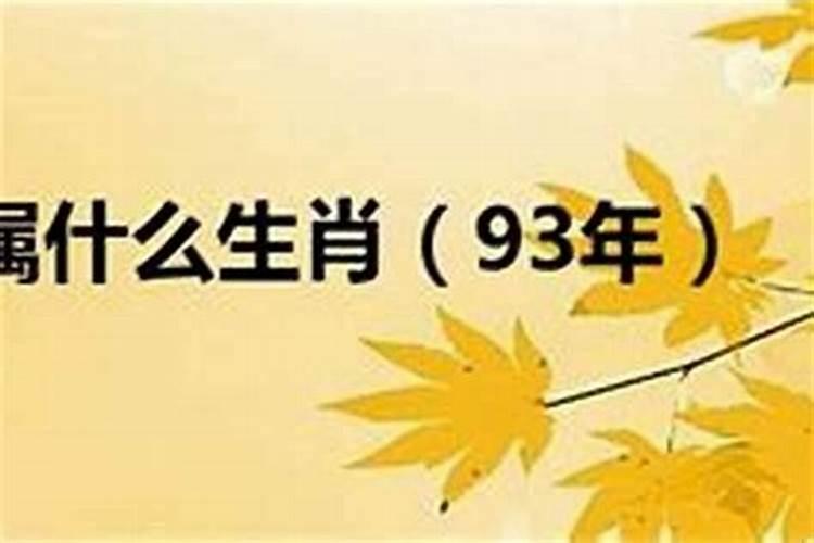 1993年属什么的生肖属相