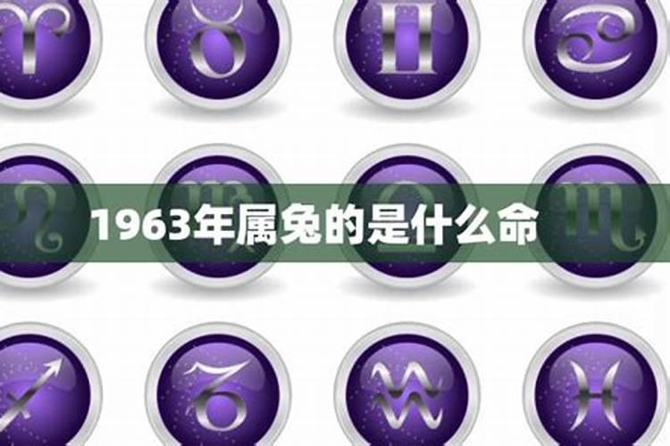 牛不合适的生肖属相是