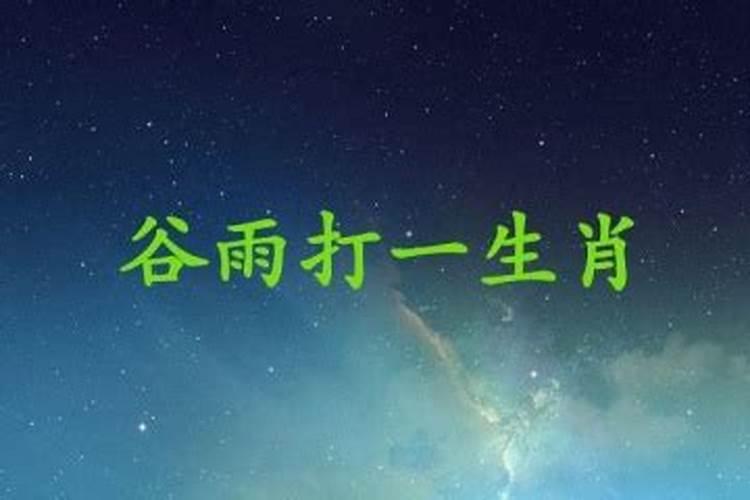 谷雨代表什么生肖或数字