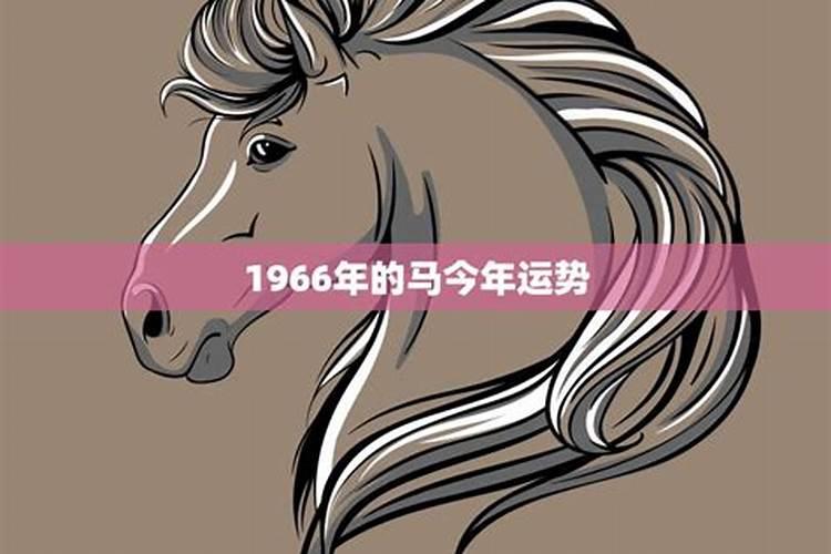 1966年属马今年运势怎样