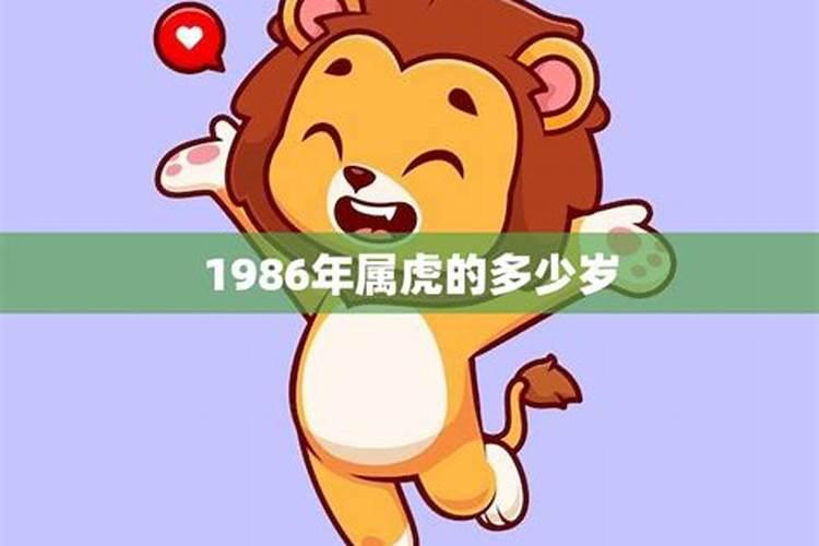 1986年多大了,属什么的