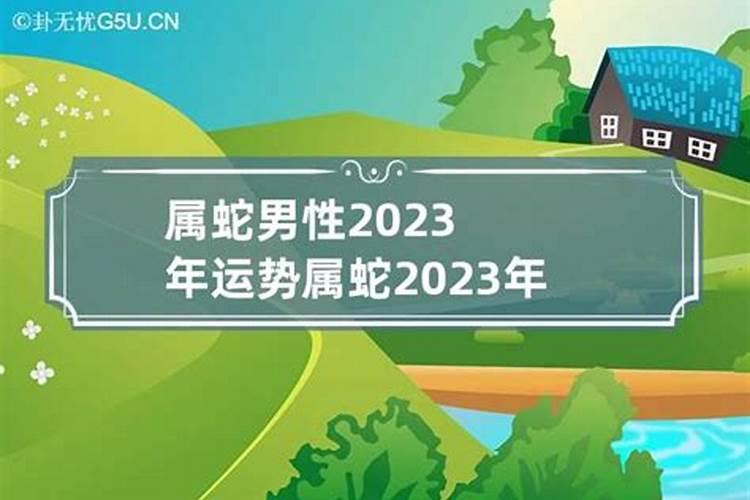 属蛇人2023年全年运势详解男性