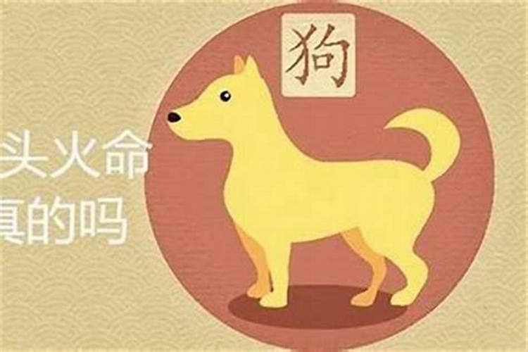 今年属虎犯太岁的属相