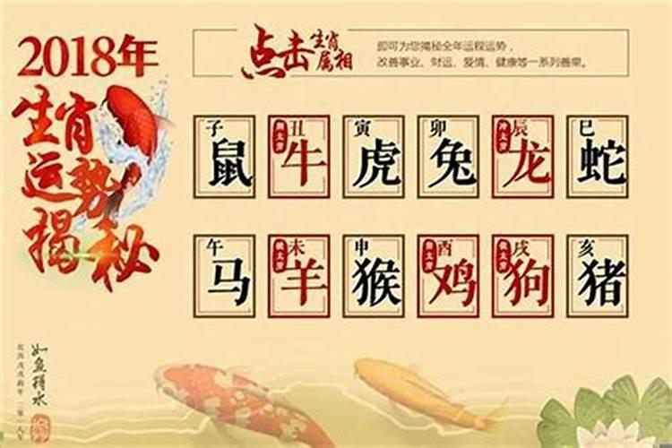 属兔的今年的运势怎么样