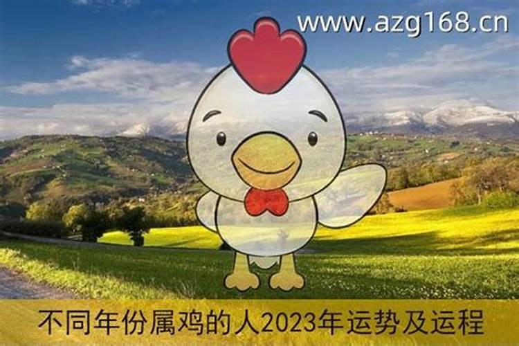 属鸡2023年的运势及运程卜易居