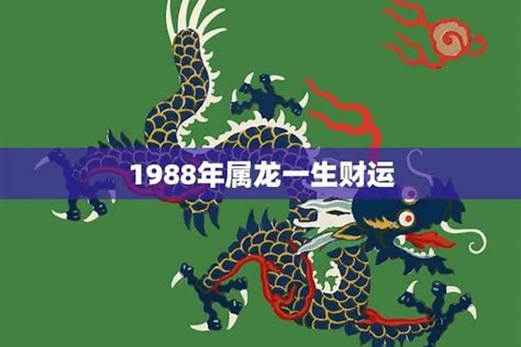 属龙1988一生运程