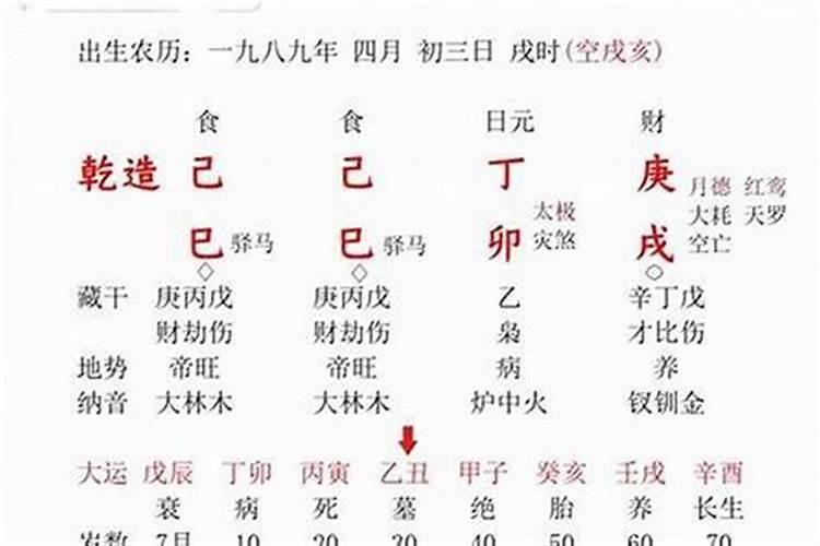 生字五行属什么,有什么意义