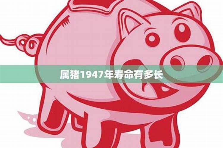 属猪1947年命活几年