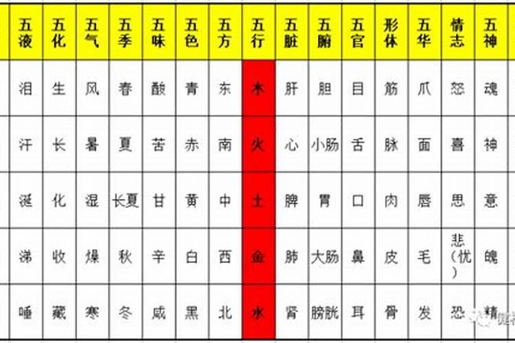 名字属于五行属什么行