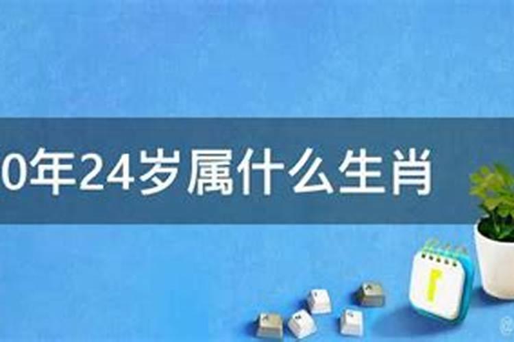 24岁属什么生肖2023