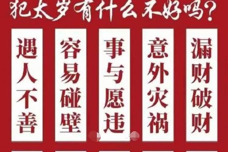 14岁属鸡是什么年