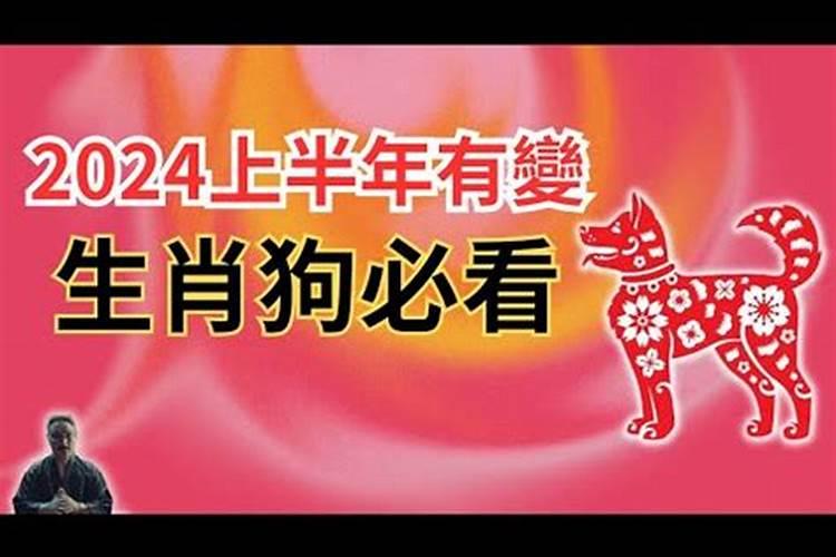 梦见猫抱怀里好不好