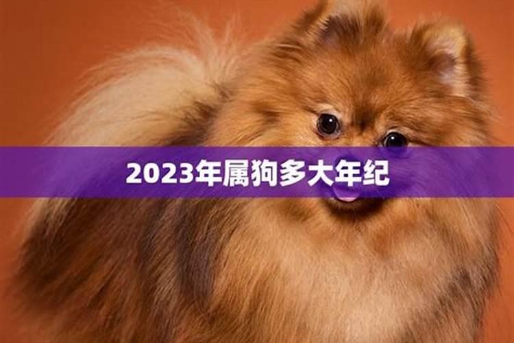 2023年属狗的多少岁