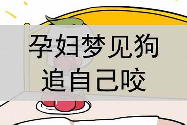 孕妇梦见狗追我是什么预兆