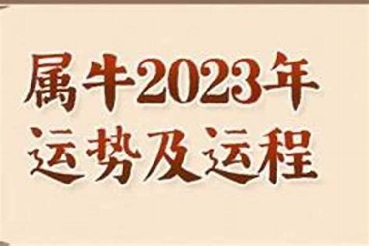 97年属牛人一生运程