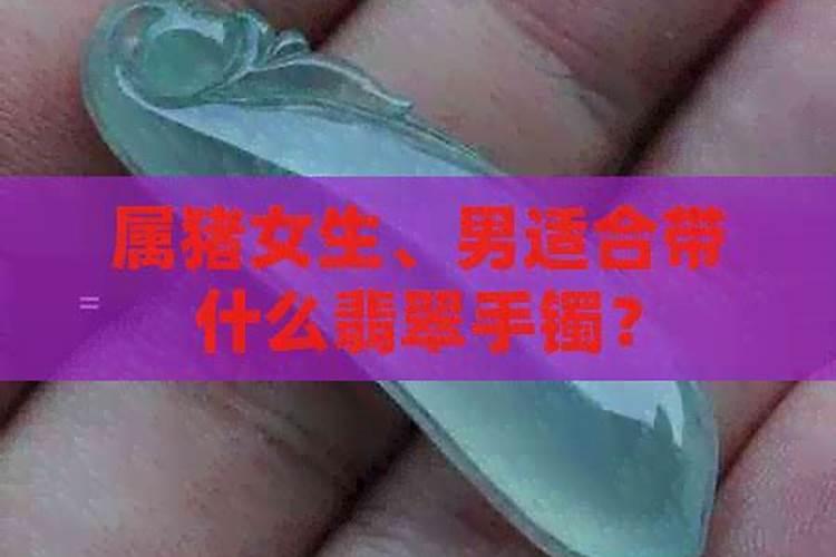 男士属猪的适合戴什么翡翠