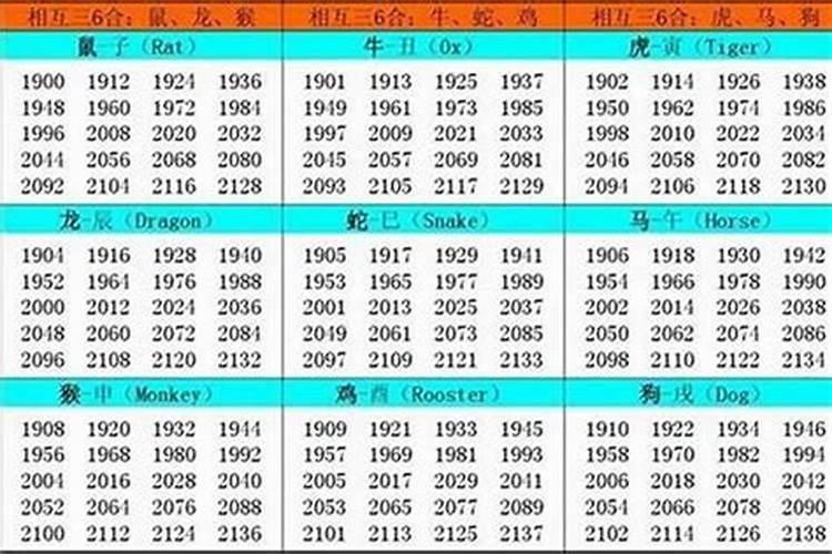 1982年狗本命年的运势如何