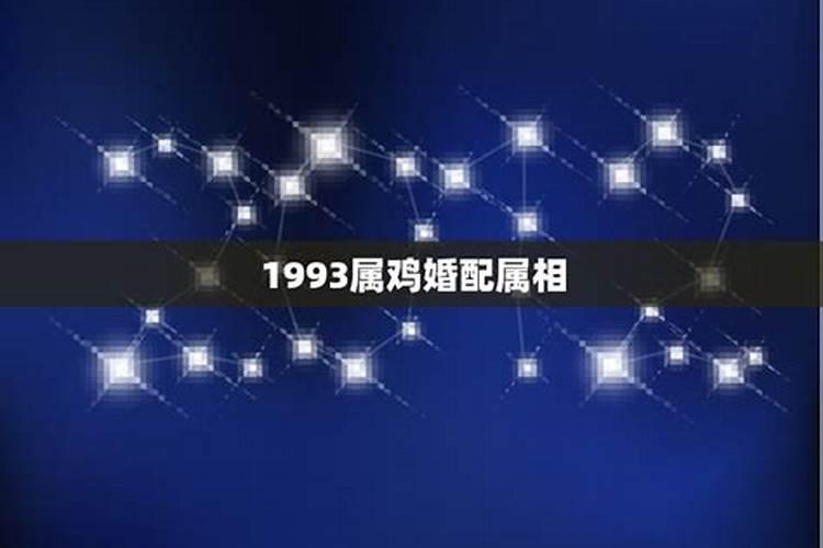 1993年属鸡的婚配表