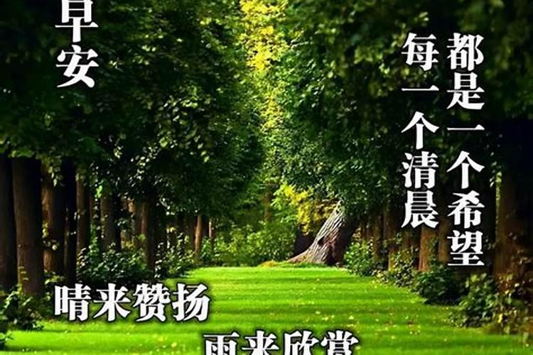 重阳节是农历还是公历九月九