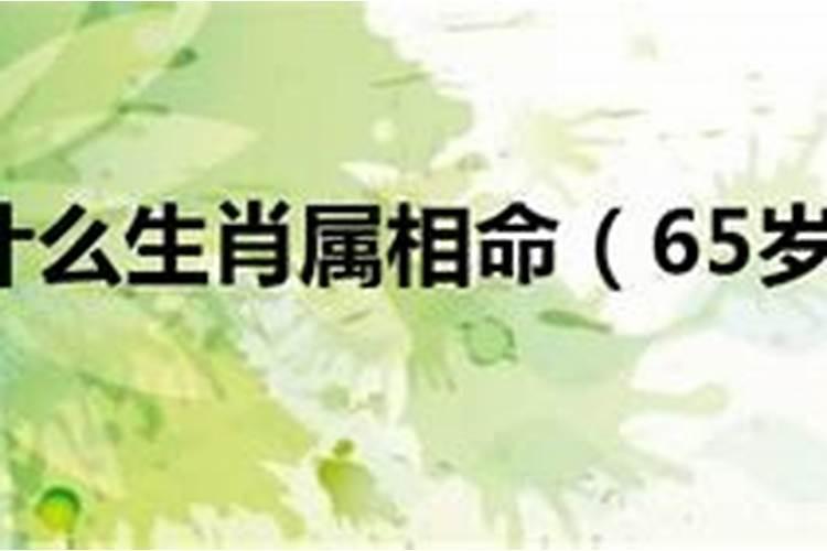 65岁属什么生肖属相命