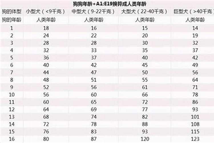 梦到和异性亲吻被前男友看到什么意思