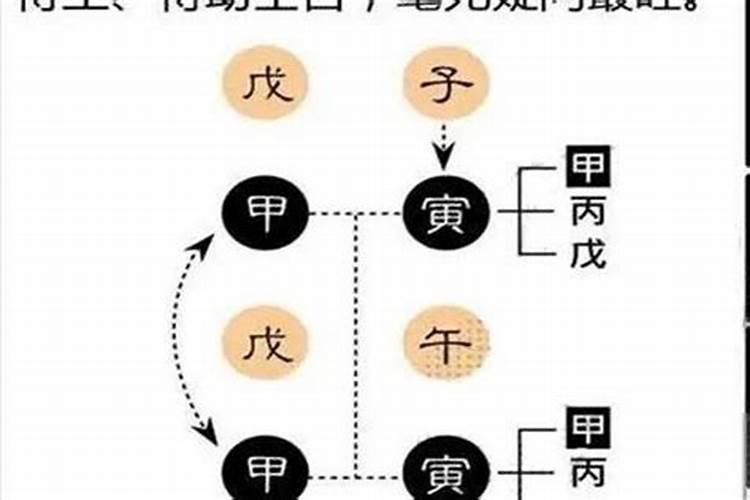 梦见活的人死了预示着什么