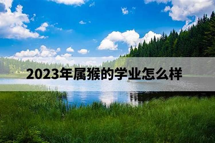 2023年属猴的高考顺利吗