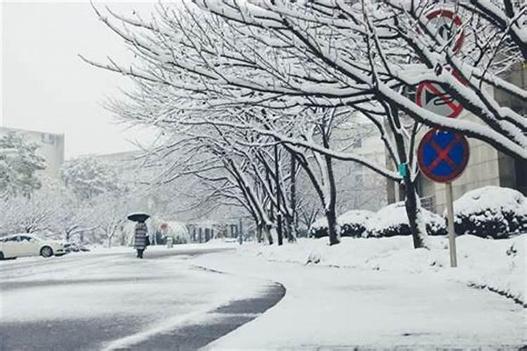 梦见飘雪花是什么预兆