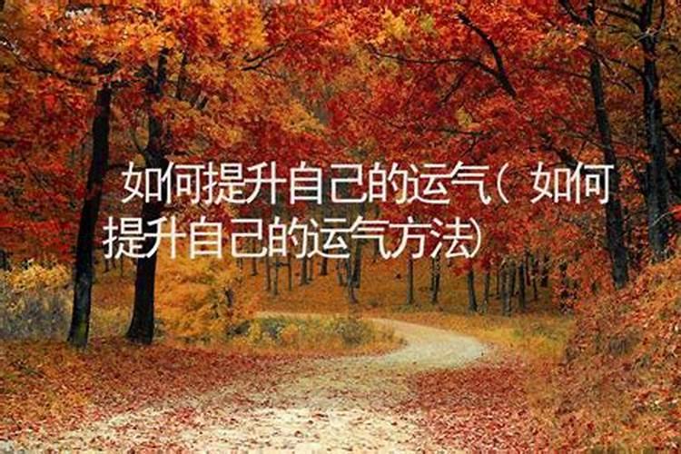 属猴幸运生肖是什么