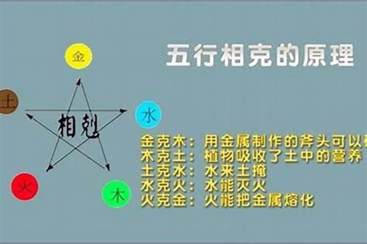 取名字看五行还是五格