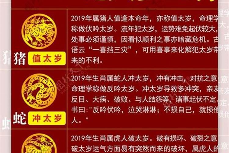 2019年犯太岁的是什么