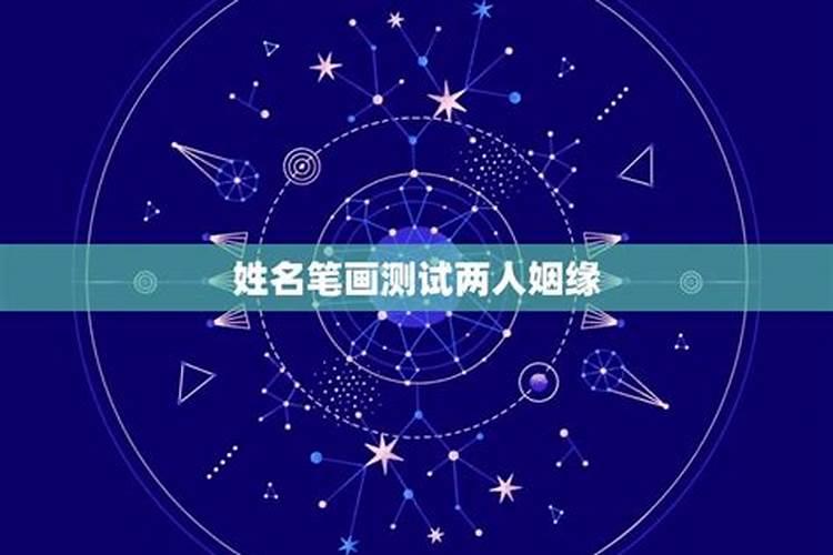 属狗的今年适合什么颜色的衣服穿