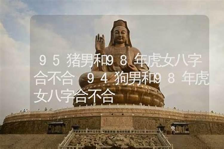 94年狗98年虎八字合吗