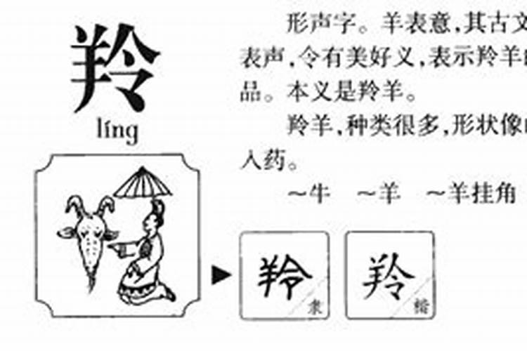 羚字五行属什么,名字里寓意