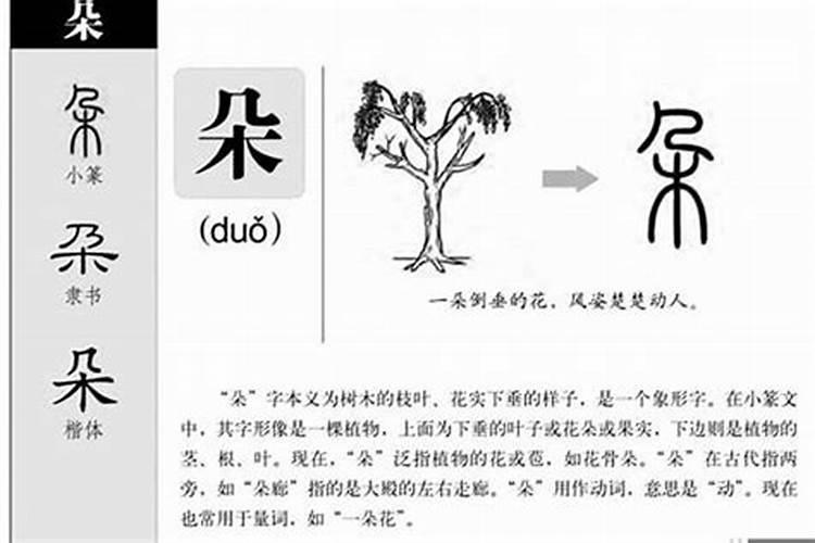 羚字五行属什么,名字里寓意