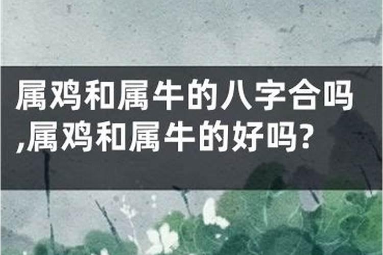 孕妇梦见家里进老鼠代表什么预兆呢