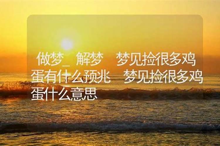 梦见捡很多海螺什么意思周公解梦