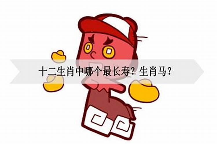 哪个属相长寿人多