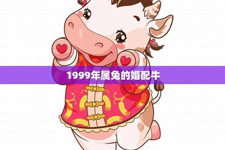 1999年属兔最佳婚配年龄是多少